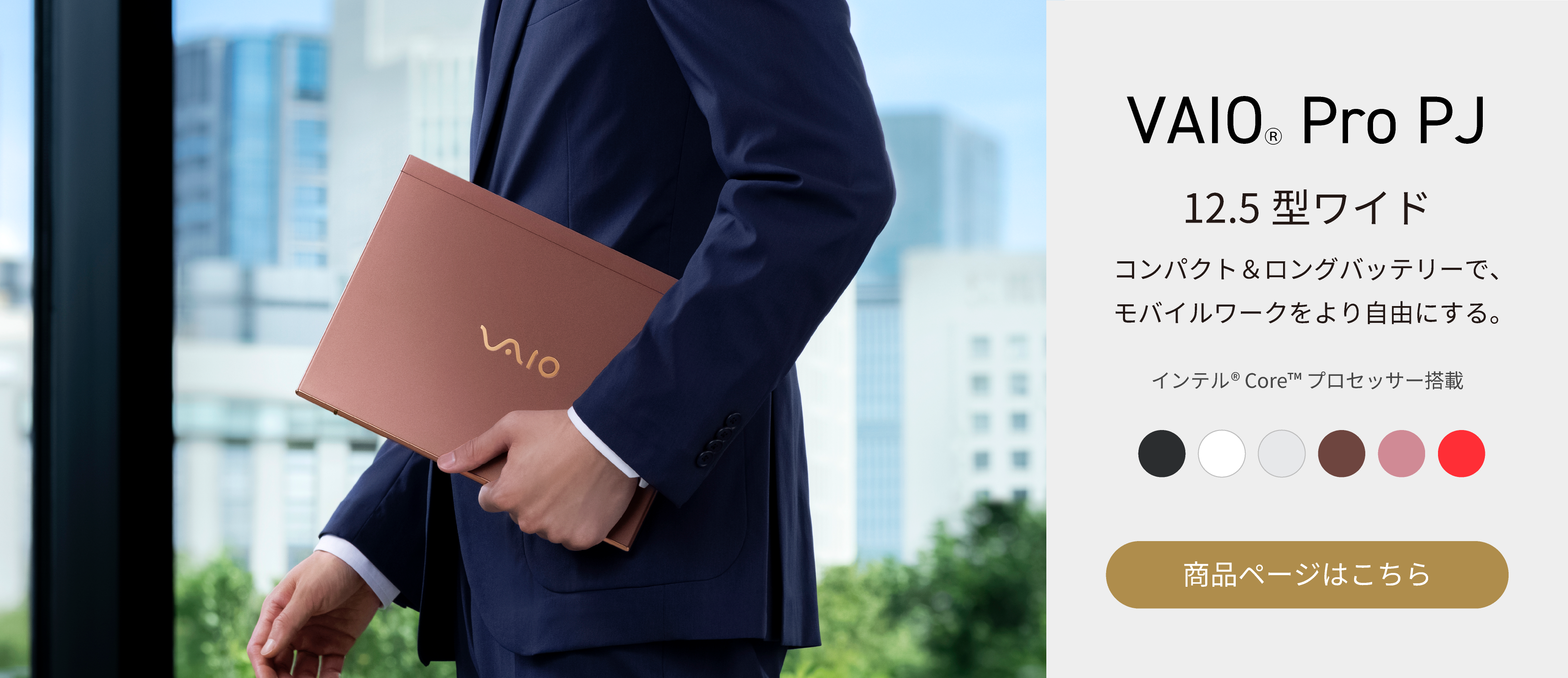 VAIO Pro PJ25
