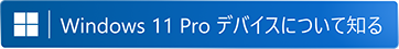 Windows 11 Pro の詳細